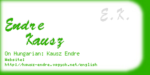 endre kausz business card